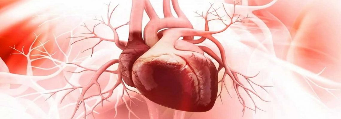 بیماری نارسایی قلبی چیست؟
