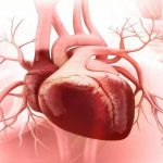 نارسایی قلبی چیست