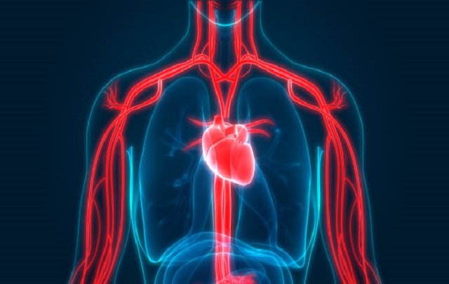 دکتر قلب و عروق و فشار خون