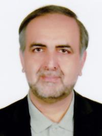 سید محسن  میرحسینی