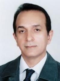 سید مصطفی  حسینی