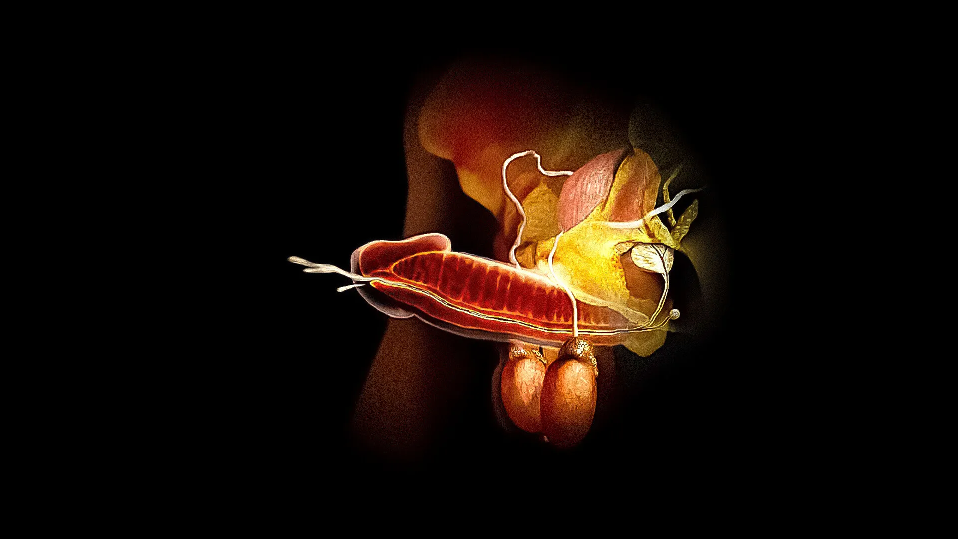 انزال معکوس چگونه رخ می دهد؟